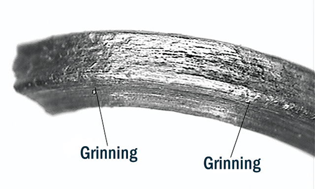Close-up image of grinning example