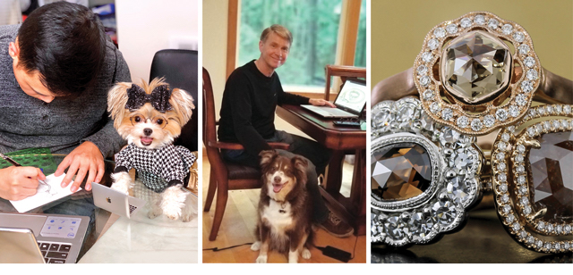 working at home with pets