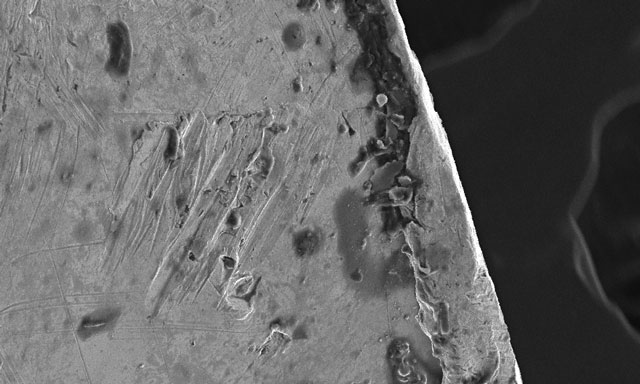 carbon embedded in platinum casting
