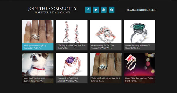 Mark Schneider Website